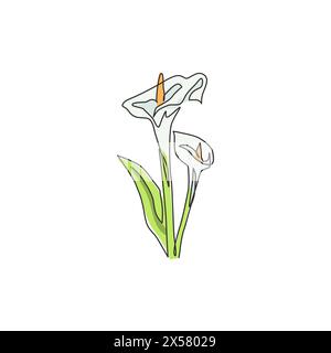 Una linea continua che disegna la bellezza fresca zantedeschia per la stampa di decorazioni a parete. Fiore decorativo di giglio d'arum stampabile per un biglietto d'invito per nozze. Mo Illustrazione Vettoriale