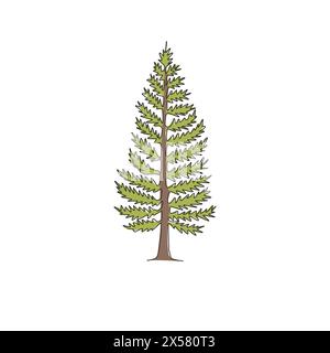 Un disegno continuo di bellezza ed esotico pino per l'arredamento della casa, stampa di poster per arte murale. Pianta decorativa di pinus per il parco nazionale Illustrazione Vettoriale