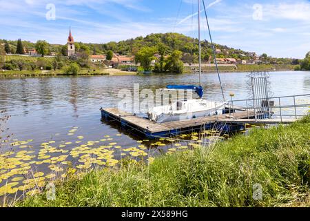 Vinice, řeka Labe, Velke Zernoseky, porta Bohemica, Ceske Stredohori, Ceska republika / vigneti, fiume Elba, porta Bohemica, Velke Zernoseky, ceco Foto Stock