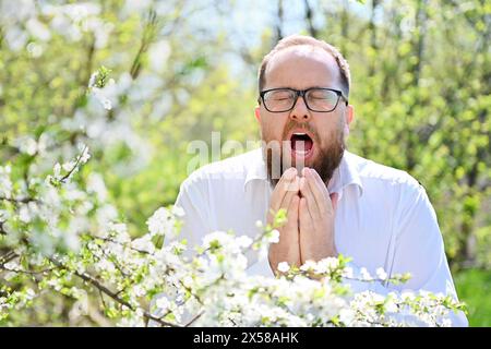 L'uomo allergico soffre di allergia stagionale in primavera nel giardino fiorito in primavera. Giovane uomo barbuto con gli occhiali starnuti davanti all'albero in fiore. Concetto di allergia primaverile Foto Stock