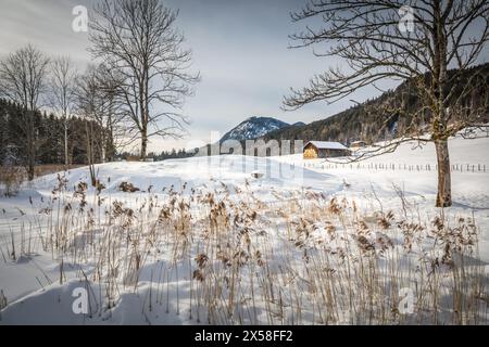 Geografia / viaggi, Germania, Baviera, Kruen, ULTERIORI DIRITTI-AUTORIZZAZIONE-INFO-NON-DISPONIBILI Foto Stock