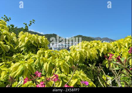 Splendido paesaggio alle po Nagar Cham Towers a Nha Trang, Vietnam Foto Stock