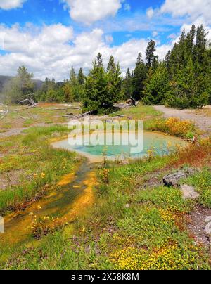 pinto spring nel gruppo a cascata del bacino superiore dei geyser, il parco nazionale di yellowstone, wyoming Foto Stock