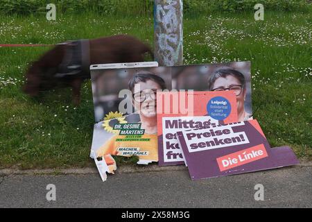 DATA RECORD NON DICHIARATA Lipsia, 30.04.2024 Abgerissene Wahlplakate liegen am Boden vor einer Grünen Wiese neben einem Laternenmast im Leipziger Stadtteil Lößnig, ein Mann mit Hund geht dahinter lang. Europawahl 2024 und Stadtratswahl in Lipsia am 09.06.2024 Dr. Gesine MÄRTENS Bündnis 90/Die Grünen die Linke Sachsen Deutschland *** Lipsia, 30 04 2024 manifesti elettorali lacerati si trovano a terra di fronte a un prato verde accanto a un lampione nel distretto di Lipsia di Lößnig, un uomo con un cane cammina dietro di loro le elezioni europee del 2024 e le elezioni del consiglio comunale a Lipsia il 09 06 2024 Dr. Gesine MÄR Foto Stock