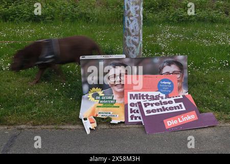 DATA RECORD NON DICHIARATA Lipsia, 30.04.2024 Abgerissene Wahlplakate liegen am Boden vor einer Grünen Wiese neben einem Laternenmast im Leipziger Stadtteil Lößnig, ein Mann mit Hund geht dahinter lang. Europawahl 2024 und Stadtratswahl in Lipsia am 09.06.2024 Dr. Gesine MÄRTENS Bündnis 90/Die Grünen die Linke Sachsen Deutschland *** Lipsia, 30 04 2024 manifesti elettorali lacerati si trovano a terra di fronte a un prato verde accanto a un lampione nel distretto di Lipsia di Lößnig, un uomo con un cane cammina dietro di loro le elezioni europee del 2024 e le elezioni del consiglio comunale a Lipsia il 09 06 2024 Dr. Gesine MÄR Foto Stock