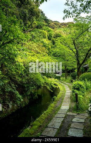Il sentiero dei filosofi, un canale e una passerella nella città di Kyoto in Giappone durante la tarda primavera Foto Stock