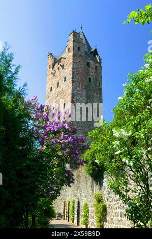 La Grey Tower, Grauer Turm, la torre di difesa urbana, Fritzlar, Assia, Germania, Europa Foto Stock