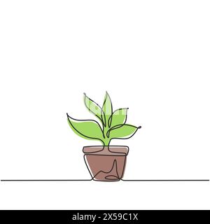 Per le piante ornamentali vengono utilizzate piante in vaso con cinque foglie in crescita. Piante ornamentali per abbellire il soggiorno. Cantate Illustrazione Vettoriale