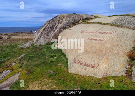 Incisioni rupestri risalenti a 3000 anni fa a penne (Lista, Agder), Norvegia meridionale. Foto Stock