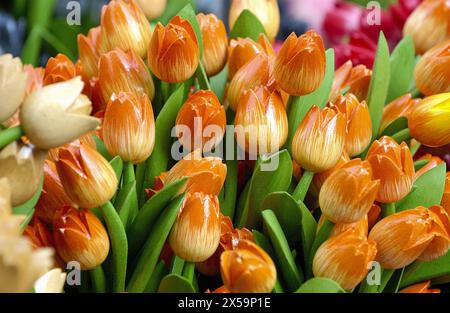 Negozio di souvenir al Bloemenmarkt (floating flower market) sul canale Singel. Amsterdam. Paesi Bassi Foto Stock