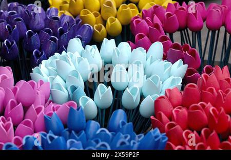 Negozio di souvenir al Bloemenmarkt (floating flower market) sul canale Singel. Amsterdam. Paesi Bassi Foto Stock