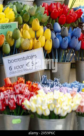 Negozio di souvenir al Bloemenmarkt (floating flower market) sul canale Singel. Amsterdam. Paesi Bassi Foto Stock