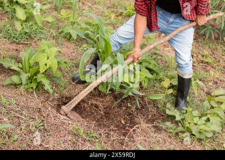 stile di vita: primo piano della zappa che affina la terra Foto Stock