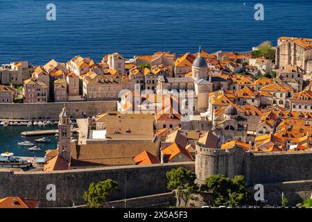 Dubrovnik von oben Stadtansicht der Altstadt von oben gesehen, Dubrovnik, Kroatien, Europa paesaggio urbano della città vecchia visto dall'alto, Dubrovnik, Croato Foto Stock