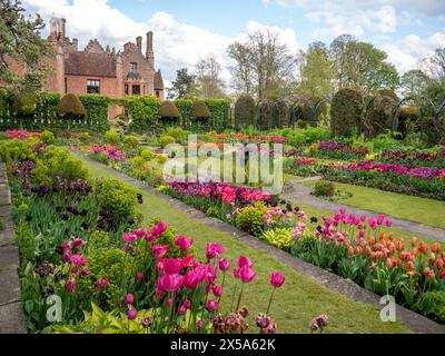 Chenies Manor House e giardini al culmine della stagione dei tulipani. Cielo blu e nuvole sopra il maniero Tudor che si affaccia sul ben tenuto giardino sommerso. Foto Stock