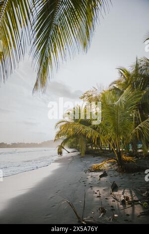 Una tranquilla spiaggia costaricana al tramonto, con palme e onde dolci, che evocano un senso di calma Foto Stock