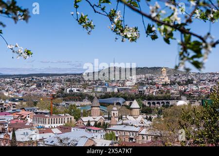 Vista panoramica delle principali attrazioni turistiche di Tbilisi in primavera con alberi in fiore Foto Stock