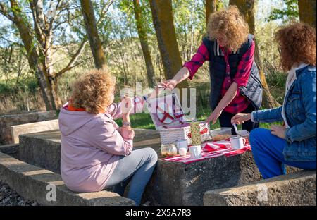 Tre amici si riuniscono intorno a un picnic rustico in un ambiente naturale sereno, condividendo cibo, bevande e risate Foto Stock