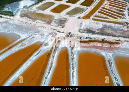 Foto in alto di saline vivaci, con varie sfumature di arancio e verde, sezionate da sentieri a Toledo Foto Stock