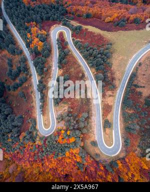 Vista aerea superiore di una strada a serpentina che si snoda attraverso il vibrante fogliame autunnale dei Pirenei, nella Roncal Valley, Navarra. Foto Stock