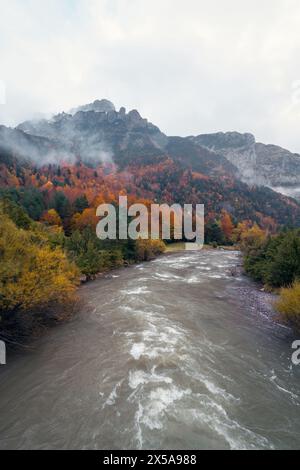 La Selva de Oza nei Pirenei presenta una splendida tavolozza autunnale con fogliame dorato e rosso sullo sfondo di montagne ricoperte di nebbia e un tur Foto Stock