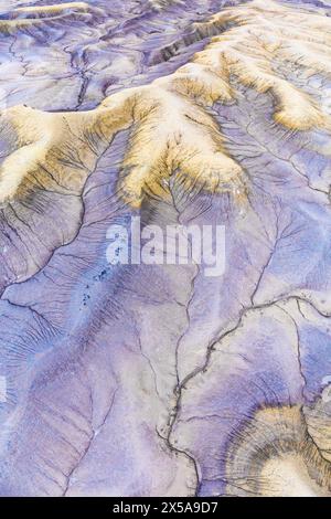 Questa immagine cattura gli intricati motivi e le texture formate dall'erosione nel deserto sud-occidentale dello Utah, rivelando i toni terrosi accentuati dallo shado Foto Stock