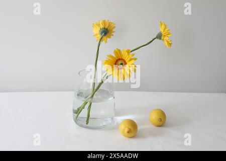 natura morta con limoni e gerberas gialli in un vaso di vetro su un tavolo ricoperto di tovaglia di lino. Composizione estiva con limoni e fiori gialli Foto Stock