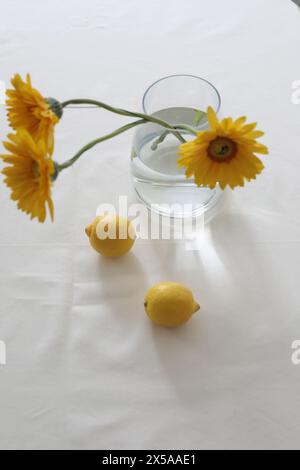 natura morta con limoni e gerberas gialli in un vaso di vetro su un tavolo ricoperto di tovaglia di lino. Composizione estiva con limoni e fiori gialli Foto Stock