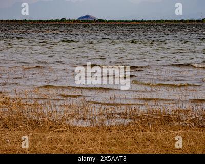 Costa del lago d'acqua dolce, erosione, cambiamenti ambientali Foto Stock