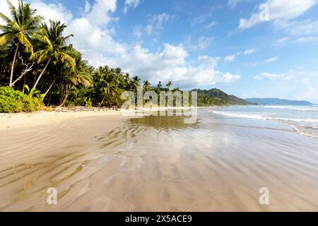 Splendida Playa Hermosa, spiaggia sabbiosa di Hermosa sulla penisola di Nicoya, con palme e foresta tropicale sul retro, Costa Rica Foto Stock