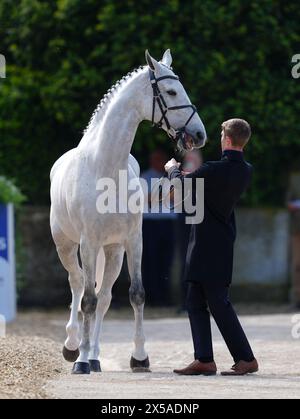 Capels Hollow Drift e Tom Jackson durante la prima ispezione di cavalli il primo giorno delle prove a cavallo di Badminton del 2024 a Badminton Estate, Gloucestershire. Data foto: Mercoledì 8 maggio 2024. Foto Stock