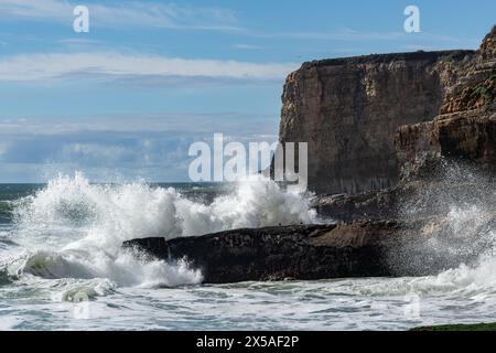 Dettaglio di un'onda bianca e schiumosa che si schianta sulla riva di una spiaggia rocciosa nera dell'Oceano Pacifico lungo la costa della California settentrionale. Foto Stock