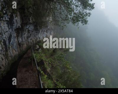 stretto sentiero lungo la levada, canale di irrigazione dell'acqua con fitte piante e vegetazione della foresta tropicale. Levada Caldeirao Verde e Caldeirao fanno dedurre Foto Stock