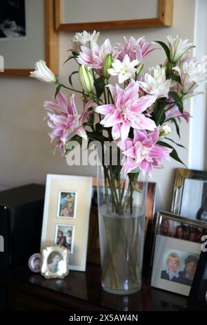 Gigli doppi a gambo lungo rosa in vaso di Family Photographs Foto Stock