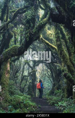 Lussureggiante foresta pluviale tropicale con escursioni turistiche femminili su un sentiero di legno che conduce attraverso di essa. Mangorei Track, parco nazionale di Egmont, nuova Zelanda Foto Stock