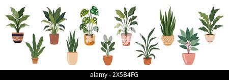 Serie di illustrazioni vettoriali di diverse piante domestiche Illustrazione Vettoriale