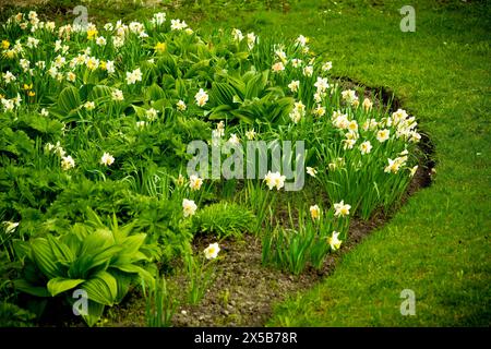 Prato verde, giardino di fronte all'hotel, giardino splendidamente progettato, fiori in giardino, erba verde Foto Stock
