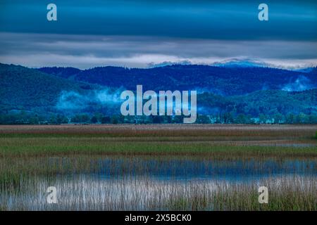 Mattina nebbia su un lago Foto Stock