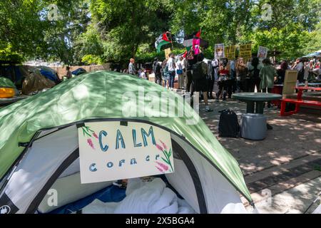 Sacramento, California, Stati Uniti. 8 maggio 2024. Il capitolo degli studenti della Sacramento State University per la giustizia in Palestina cantano dopo una conferenza stampa tenutasi mercoledì 8 maggio 2024 a Sacramento. L'università ha accettato di soddisfare le richieste di indagare e cedere in investimenti legati a Israele che il gruppo e altri hanno protestato nel campus dalla fine del mese scorso (Credit Image: © Paul Kitagaki Jr./ZUMA Press Wire) SOLO USO EDITORIALE! Non per USO commerciale! Foto Stock