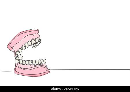 Un disegno a linea continua di denti umani adulti completi anatomici. Moderno concetto di anatomia interna medica design a linea singola vettore grafico i Illustrazione Vettoriale