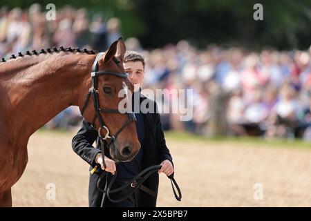 Tom Jackson della Gran Bretagna con Farndon durante la prima ispezione di cavalli a Badminton Horse Trials l'8 maggio 2024, Badminton Estate, Regno Unito (foto di Maxime David - MXIMD Pictures) Foto Stock