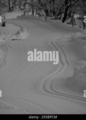 Immagine monocromatica con piste da sci che si snodano nel paesaggio di Tänndalen, Funäsdalen, Svezia Foto Stock