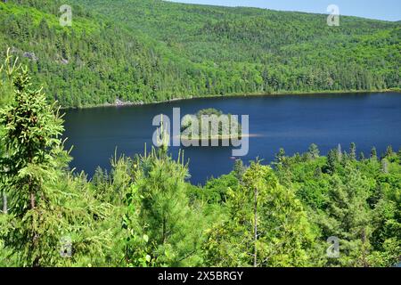 Parco nazionale la Mauricie, lago Wapizagonke, isola di Pine. Piccola isola rotonda nel mezzo di un lago. Soleggiato giorno d'estate Foto Stock