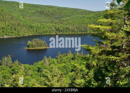 Parco nazionale la Mauricie, lago Wapizagonke, isola di Pine. Piccola isola rotonda nel mezzo di un lago. Soleggiato giorno d'estate Foto Stock