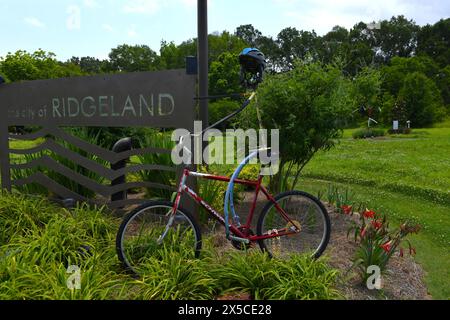 Andare in bicicletta a Ridgeland, Mississippi. Foto Stock