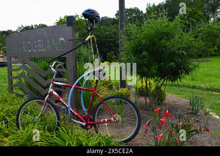 Andare in bicicletta a Ridgeland, Mississippi. Foto Stock