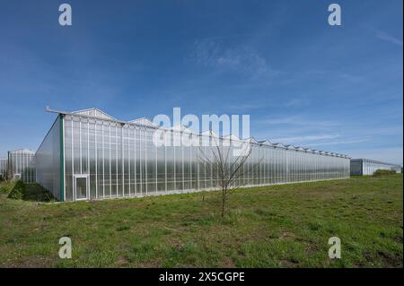 Serre moderne a Knoblauchsland, la più grande area di coltivazione vegetale della Germania vicino a Norimberga, Franconia media, Baviera, Germania Foto Stock