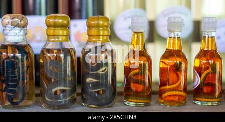 Choum, liquore di riso, vino di riso con scorpioni sottaceto e serpenti in vendita, Laos Foto Stock