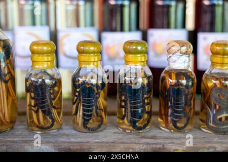 Choum, liquore di riso, vino di riso con scorpioni sottaceto e serpenti in vendita, Laos Foto Stock