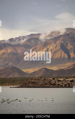 Paesaggio panoramico con aspre montagne aride all'orizzonte al crepuscolo con nuvole e uccelli a Bahia de los Angeles, Baja California, Messico Foto Stock